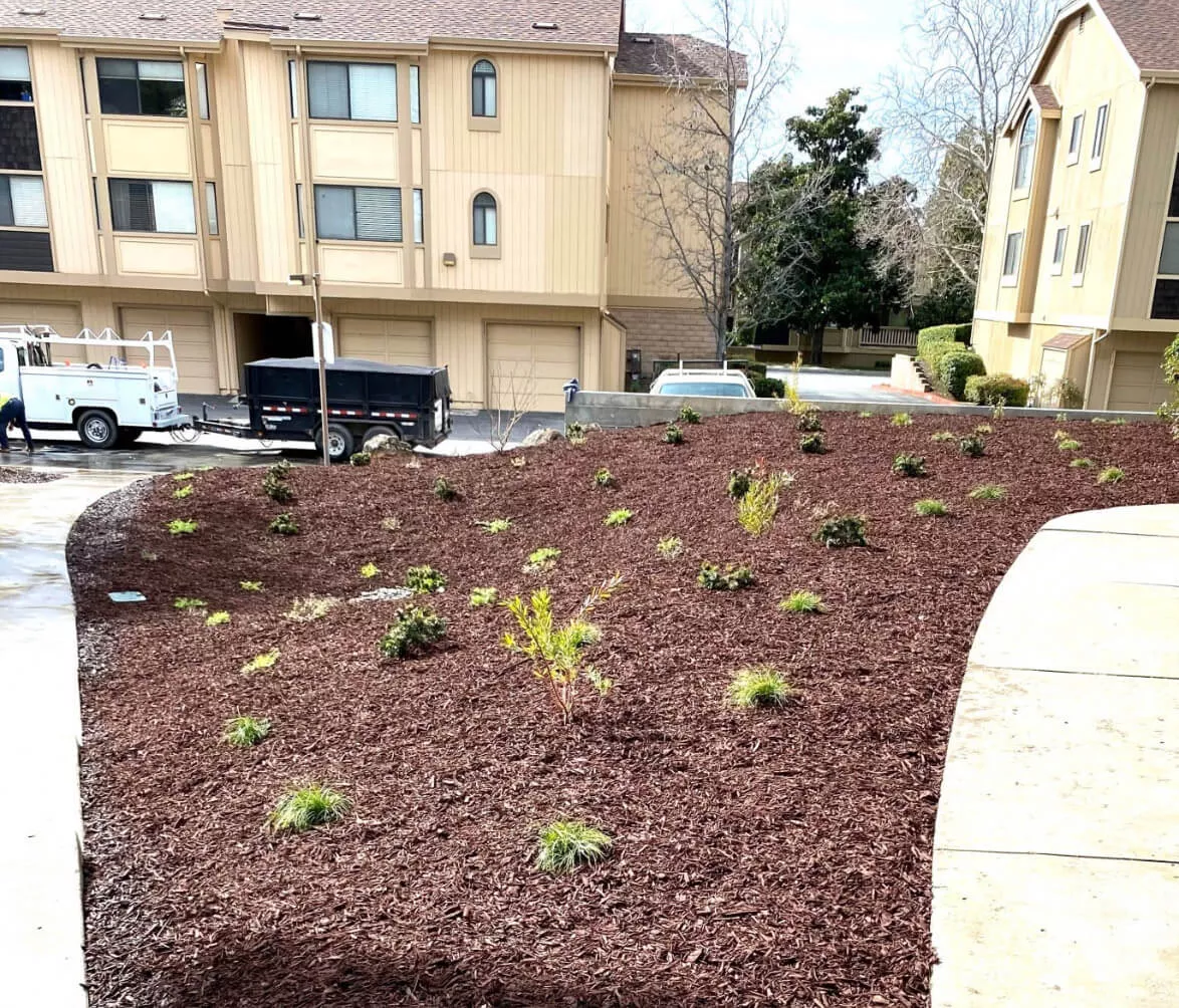 img-2954-694ac85cc6a9d